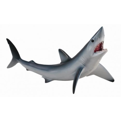 《 COLLECTA 》英國 Procon 動物模型 尖吻鲭鯊